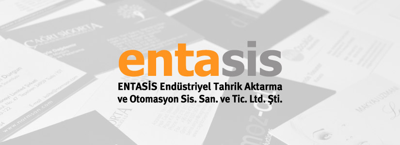 Entasis Logo