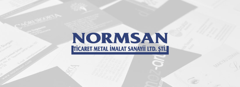 Normsan Logo